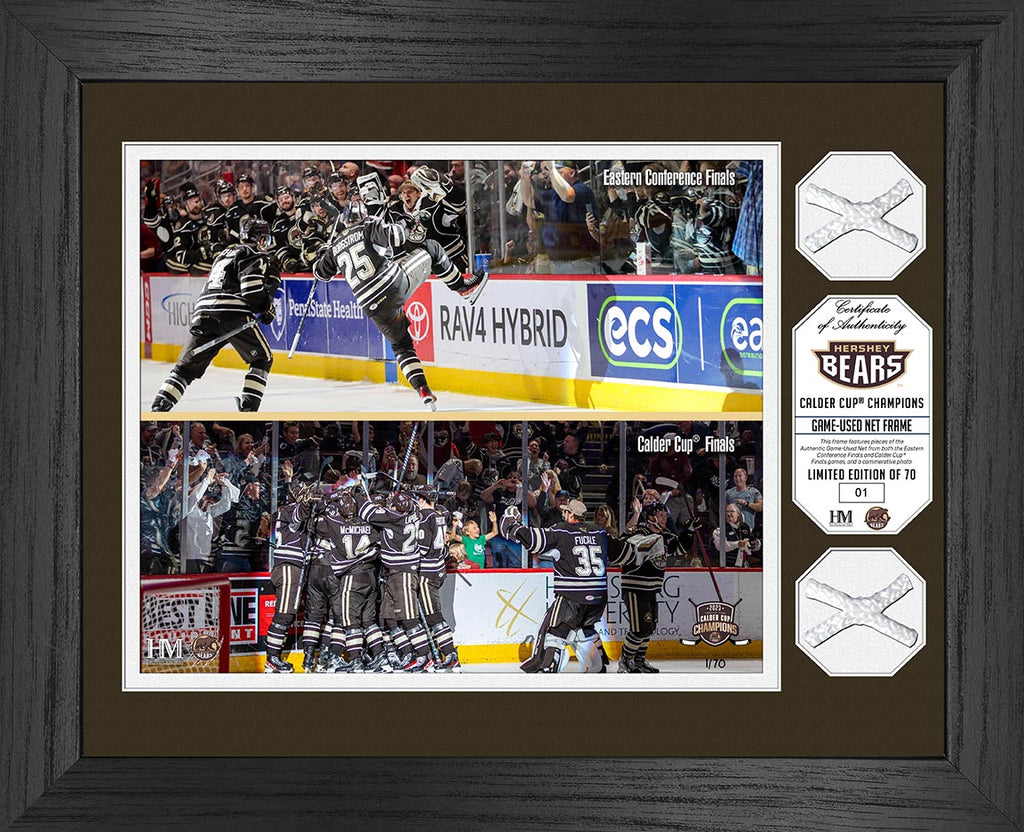 Hershey Bears Authentic Game Used Net Frame 13"x16"