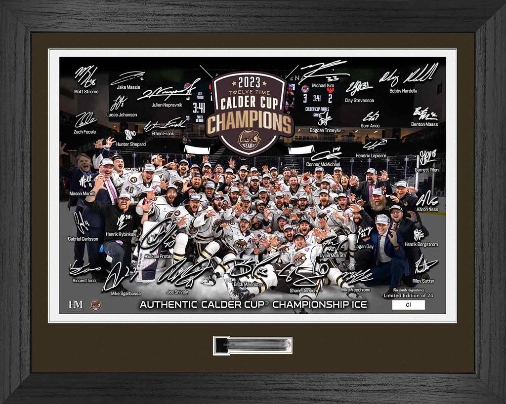 Hershey Bears Authentic Game Used Ice Frame with Team Autographs 16"x20"